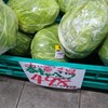 キャベツが498円になっていて驚愕した話