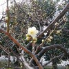 作品を搬入してきました。