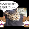 長兄猫のクロくんが元気なくて心配‥