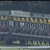 9月6日  新潟競馬　注目馬