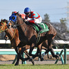 競馬初心者必見☆馬券予想🔥〜中山牝馬S〜明け4歳勢が一枚上手か