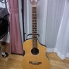 Variax Acoustic 300