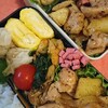 手作りシュウマイと鶏肉の塩だれ炒め弁当