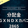 【分配金】ＧＸＮＤＸカバコ2865