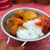 【実際に調べた】キャプテンスタッグの飯盒でカレーの作り方