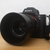 女子大生ビギナーカメラマン、新品SONYα7Ⅱ×50mm F1.8に乗り換えたお話。