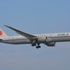 日本ではレアいB787