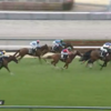 ３月１７日公開予想⇒複勝３８０円的中
