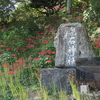 20230927 群馬県藤岡市鬼石　鬼石神社