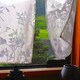風を撮る