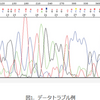 次世代シークエンス！