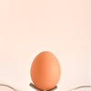 卵は体にいい「完全食品」