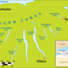 ナイアガラ旅行記③ランナーですもの。ちょびっとは走った@Watkins Glen State Parks in Finger Lakesの巻。