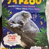 東山動植物園のナイトzooに移動販売カフェ出店します！yuricafe