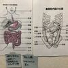 認知症母の訴える腹痛_ヘルパーさん来訪９０回目