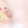 諦めなかったみなさんへ