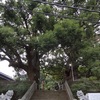 長崎への旅③　〜山王神社の大楠〜