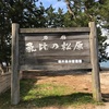 福井県　気比の松原