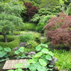 緑あふれる長谷寺。アジサイもいいけど見どころたくさん！6月の長谷寺の見どころ新緑編。