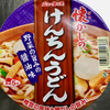 ニュータッチ 懐かしのけんちんうどん（ヤマダイ）