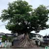 山形・秋田・岩手の内陸を巡る旅　その２