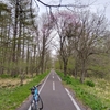 2日で100kmの代償