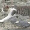 20080314