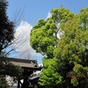 ふたたび總持寺へ、祈りの寺