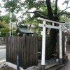 ムクノキ大明神（大阪府高槻市）