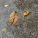 子どもと猫とミニマルライフ