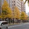 今年最後の歯科検診