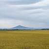 秋の岩木山です