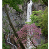 日光、中禅寺湖の華厳の滝