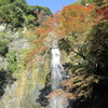 箕面の滝　紅葉ハイキングへ行って来ました