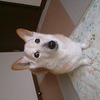 フラッフィーg さんへ。