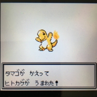 色違いポケモン紹介 Vc産ゼニガメ 自由に生きてあそblog
