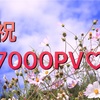 初心者ブログpv総計7000突破しました(*˘︶˘*).｡.:*♡皆様ありがとうございます♡ブログを始めて約半年になりました^_^