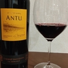 Domaine Montogras Antu Cabernet Sauvignon 2018