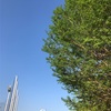 Jリーグ観戦してきました