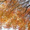 スナップ・中野・紅葉山公園