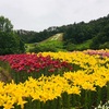 赤ちゃん連れ・子連れに優しい！【山形県】いいでどんでん平ゆり園　レポ