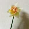 遅れたけどお墓参りに行ってきました