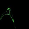 Clifford Attractor