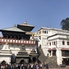 ヒンドゥー教の火葬場、パシュパティナートに行ってきました🇳🇵