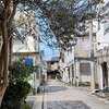 交通取り締まり