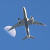 昨日の飛行機の続きと米と詐欺