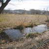 郷土の森公園金塚桜広場（東京都府中市）