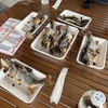 【ウォーキング記録】釣り堀で釣った魚を食べた（5日目）