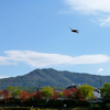 霜月半ば、鴨川風景。