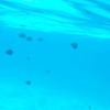 サムイ島からどう帰る？